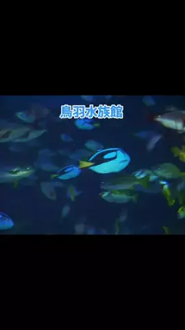ホテル紹介チャンネルのTikTok投稿