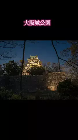 ホテル紹介チャンネルのTikTok投稿