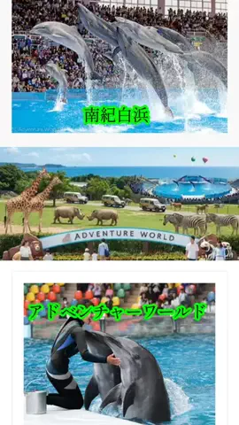 ホテル紹介チャンネルのTikTok投稿