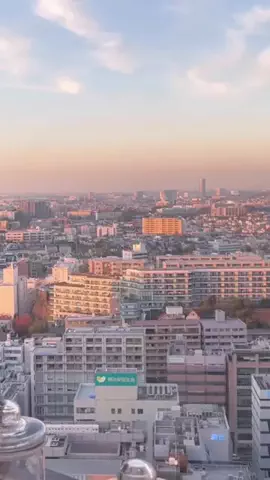 yume | ホテル旅のTikTok投稿