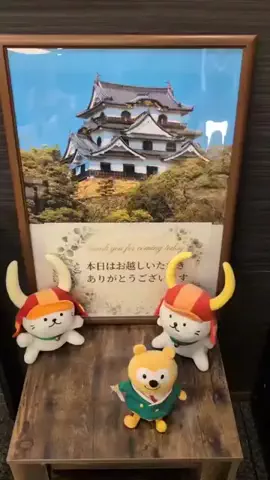 のぶ(スーパー旅行系クリエイター)のTikTok投稿