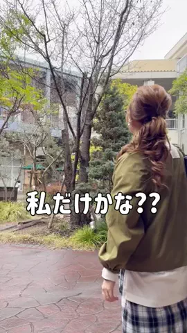 310のTikTok投稿