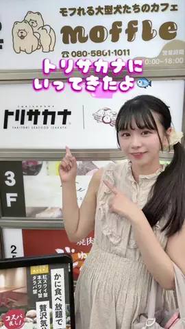 🎀ひぃちゃん🧸🍒のTikTok投稿