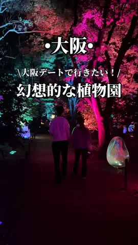 ゆいたす✈︎年100泊する旅好きカップルのTikTok投稿