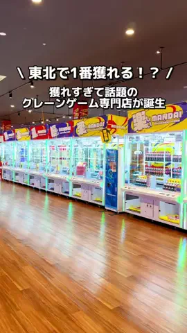のーまる⚪️ただの20代クレーンゲーマーのTikTok投稿
