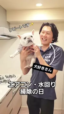 フレブルのやまわきさんのTikTok投稿