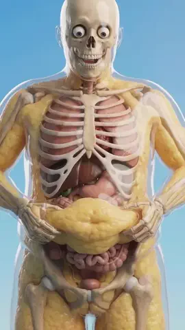 人体くんのTikTok投稿