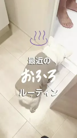 フレブルのやまわきさんのTikTok投稿