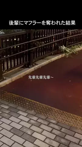 真夜中の若者たちのTikTok投稿