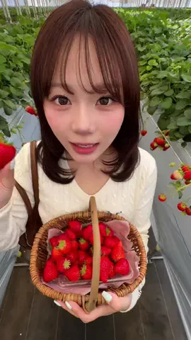 愛莉のTikTok投稿