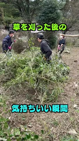 釣りよかでしょう。のTikTok投稿