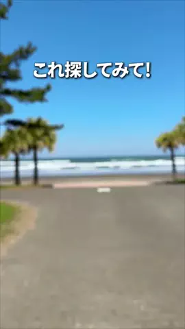 miyatabi_fufu_miyazakiのTikTok投稿