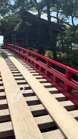 とん（旅動画）のTikTok投稿
