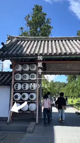 とん（旅動画）のTikTok投稿