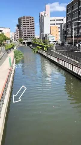 とん（旅動画）のTikTok投稿