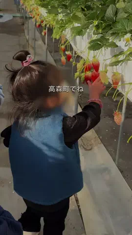 ゆいママ⌇飯田市ママ向けお得情報📣のTikTok投稿