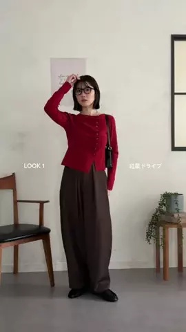 おもちのTikTok投稿