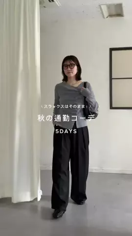 おもちのTikTok投稿
