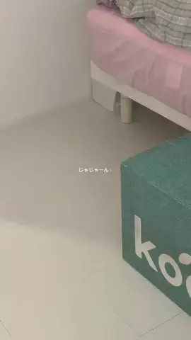 サモエドネキのお部屋のTikTok投稿