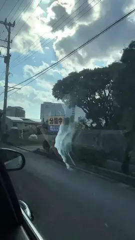 mariko_okinawa_reportのTikTok投稿