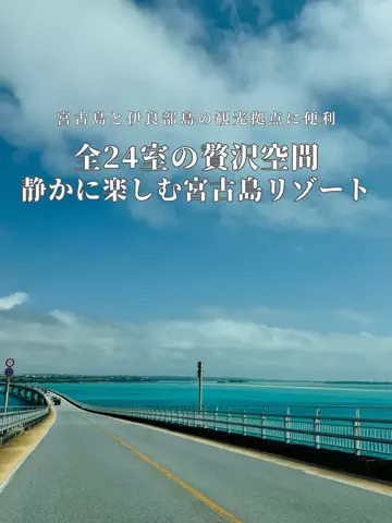 アルコールのひとのTikTok投稿
