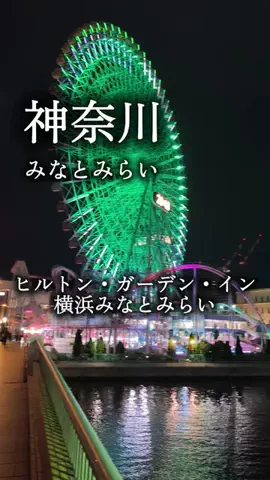 アルコールのひとのTikTok投稿