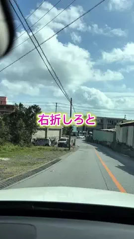 mariko_okinawa_reportのTikTok投稿
