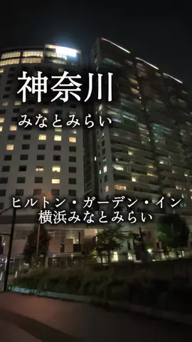 アルコールのひとのTikTok投稿