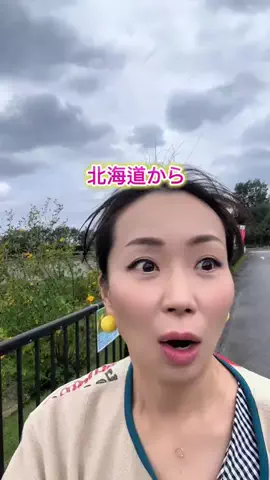 mariko_okinawa_reportのTikTok投稿