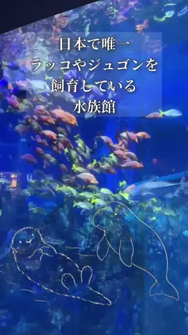 おでかけワク旅🎈のTikTok投稿