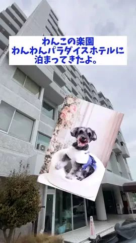 おでかけワク旅🎈のTikTok投稿