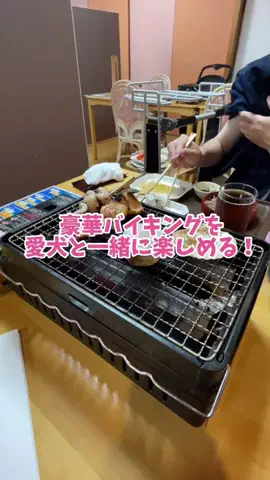 おでかけワク旅🎈のTikTok投稿