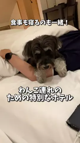 おでかけワク旅🎈のTikTok投稿