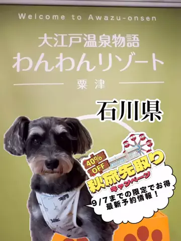 おでかけワク旅🎈のTikTok投稿