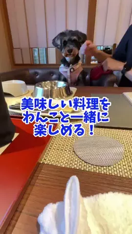 おでかけワク旅🎈のTikTok投稿
