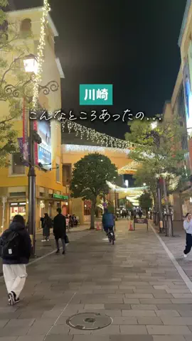 たくぽん | 川崎グルメのTikTok投稿