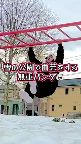 無重力のまさと🧑‍🚀❤️‍🔥ゆるり旅✈️北海道〜大阪！のTikTok PR投稿：北海道に動けるパンダ出現🐼🔥 #トラベルwithme #tiktoklive_…