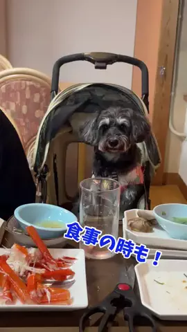 おでかけワク旅🎈のTikTok投稿