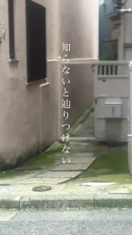 キラさんの東京グルメ🗼のTikTok投稿