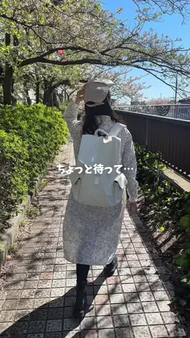 tommy.tokaidateのTikTok投稿