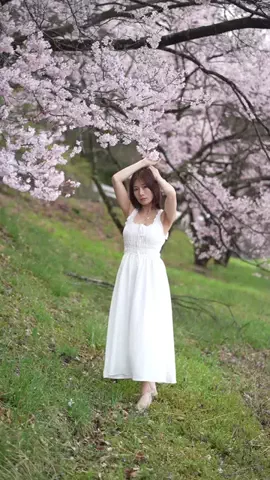 花村映実｜gravure modelのTikTok投稿