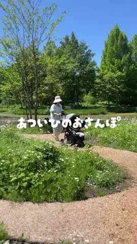 ぷぷ《赤ちゃんのASMR》のTikTok投稿