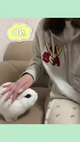 俺と松下のTikTok投稿