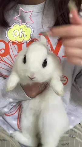 俺と松下のTikTok投稿
