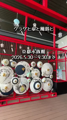 夕菜🍡のTikTok投稿