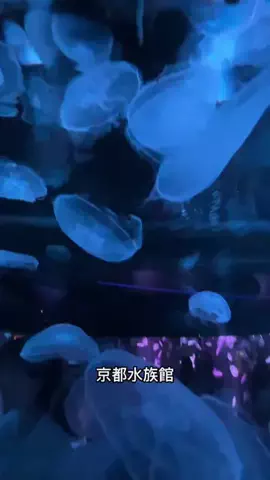 夕菜🍡のTikTok投稿