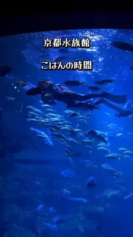 夕菜🍡のTikTok投稿