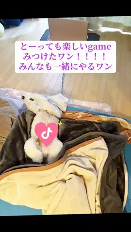 HIROCHI PINKのTikTok投稿
