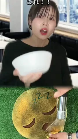Cat dogのTikTok投稿