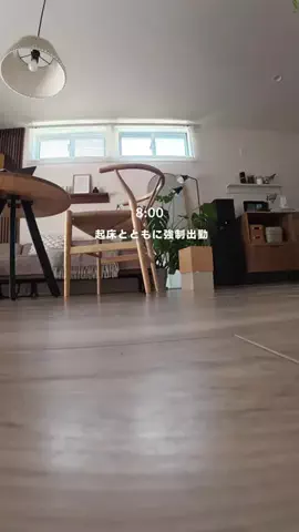 はる | 週末掃除で整う鎌倉暮らしのTikTok投稿